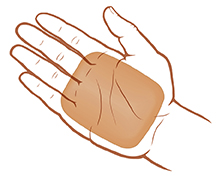 Palm of open hand showing 2-3 ounce portion size.